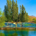 چشمه دیمه